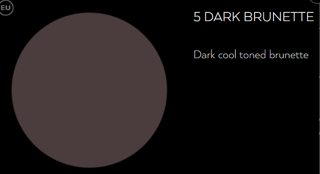 Browshadow Dark Brunette #2