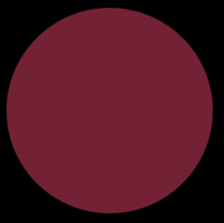 Liquid Velvet Lip #809 Anarchy