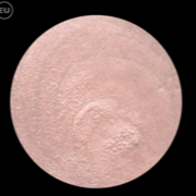 Face Hilites FANTASY #50