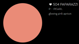 Blusher Paparazzi #504