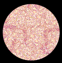 Liquid Lip Swish #602