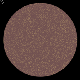 Eyeshadow Toffee #586